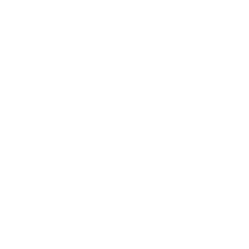 Akupunktur Icon weiss
